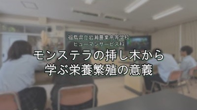 sddefault
