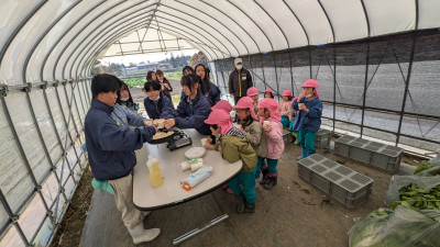 PXL_20251114_022226619.MP